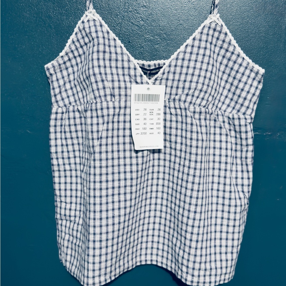 Brandy Melville Blue and White Gingham Camisole